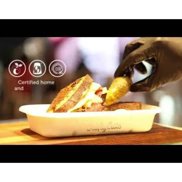 5-Compartment Large Natural Plant Fibre Takeaway Base