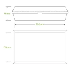 Family BioBoard Box