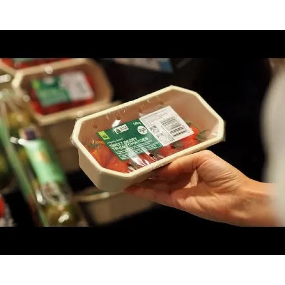 1kg Plant Fibre Produce Tray