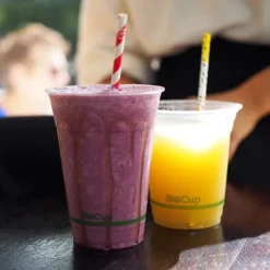 6mm Regular Red Stripe BioStraw