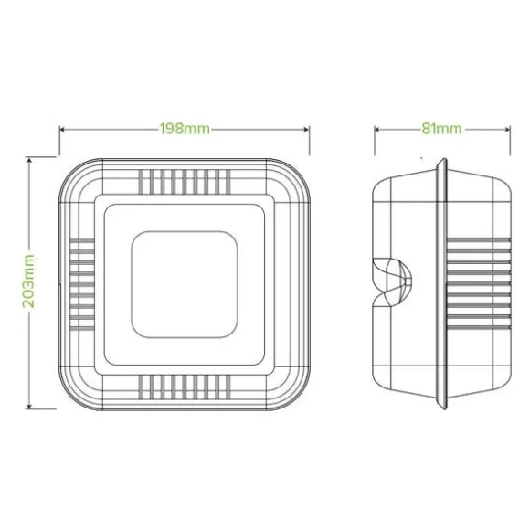 20x22x9cm / 7.8x8x3" White Plant Fibre Clamshell